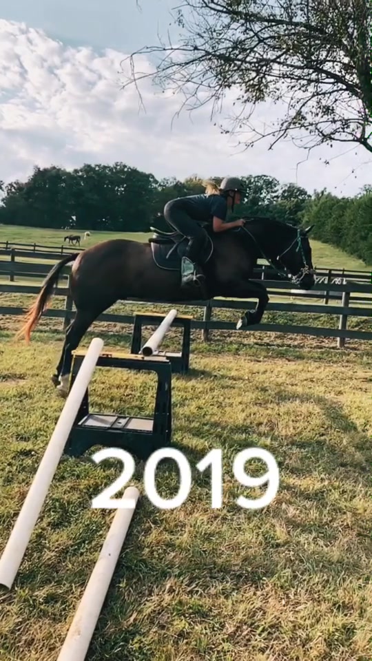 @Equine.blessings