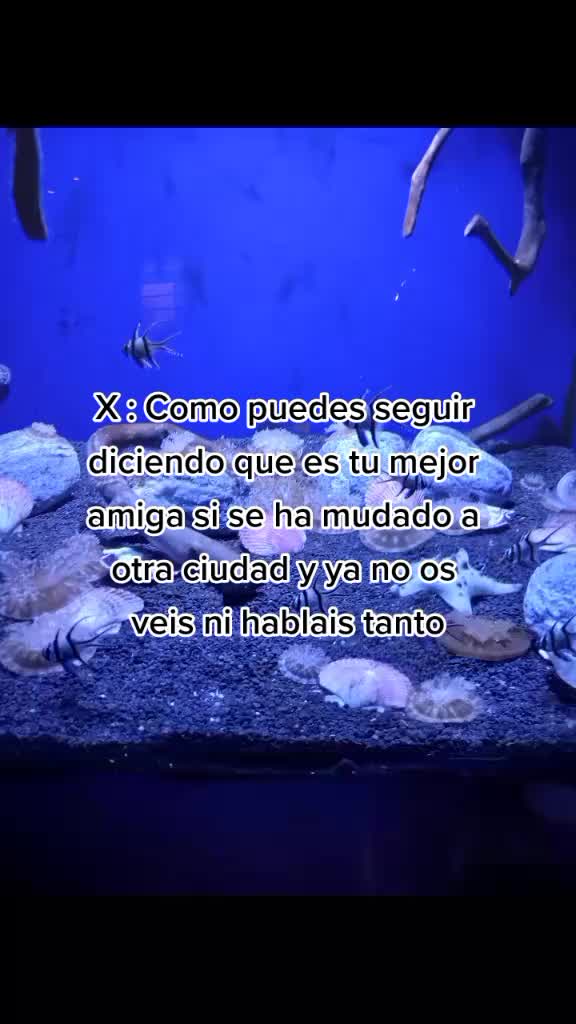 @Claauudiia01