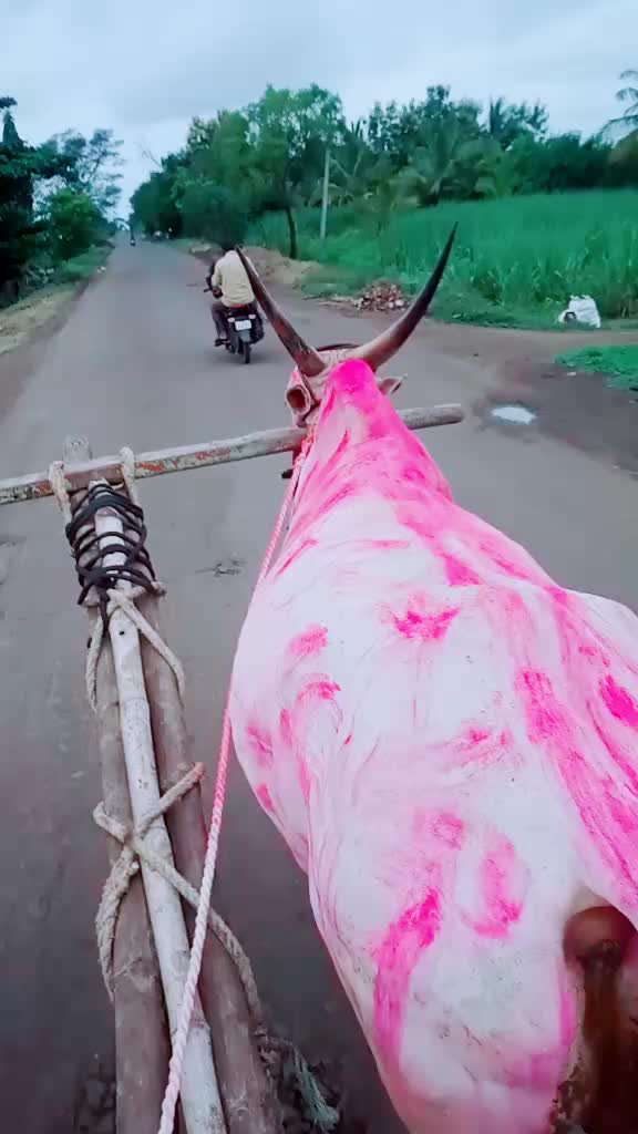 @user2385964923175