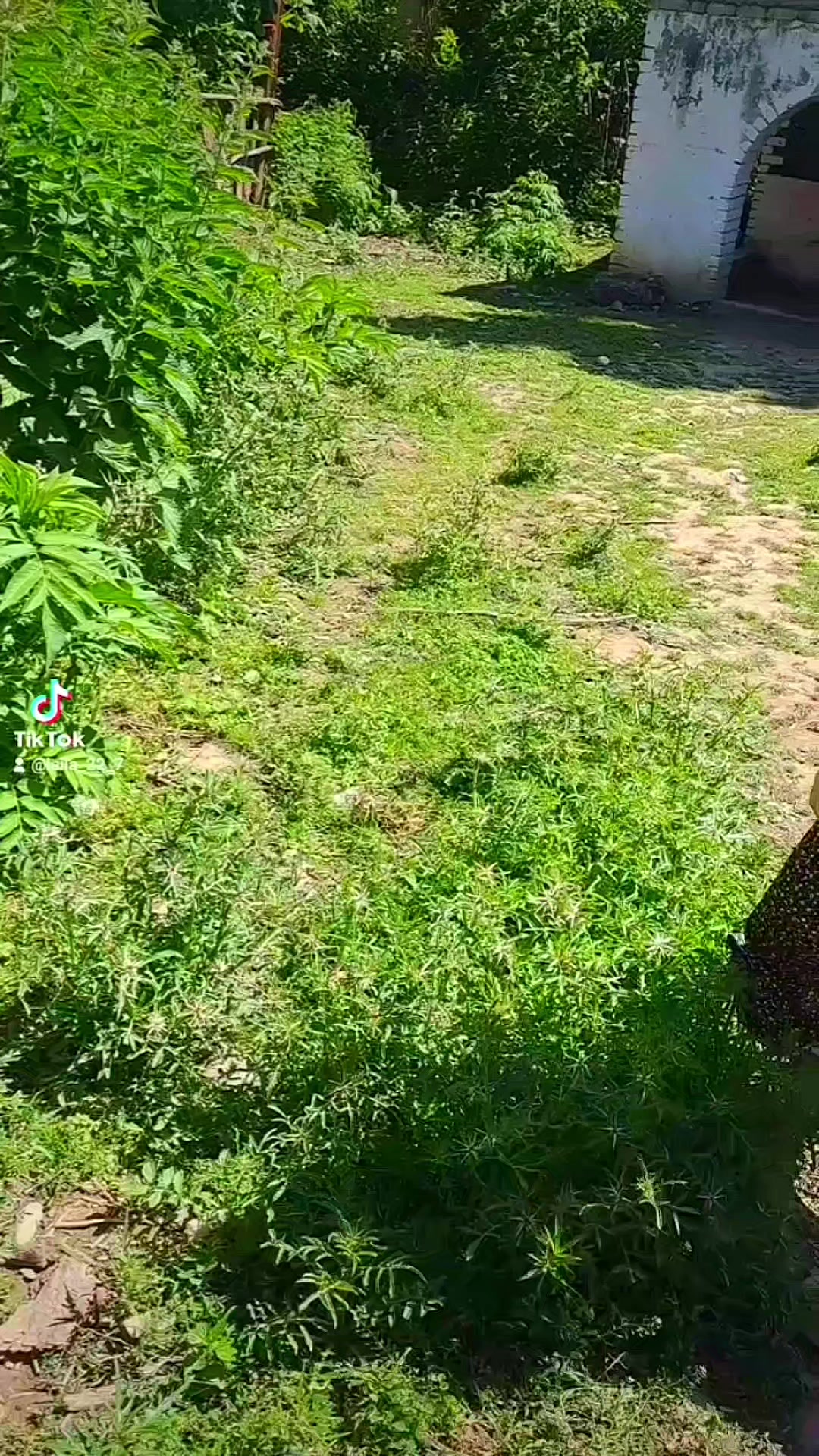 @tiktok