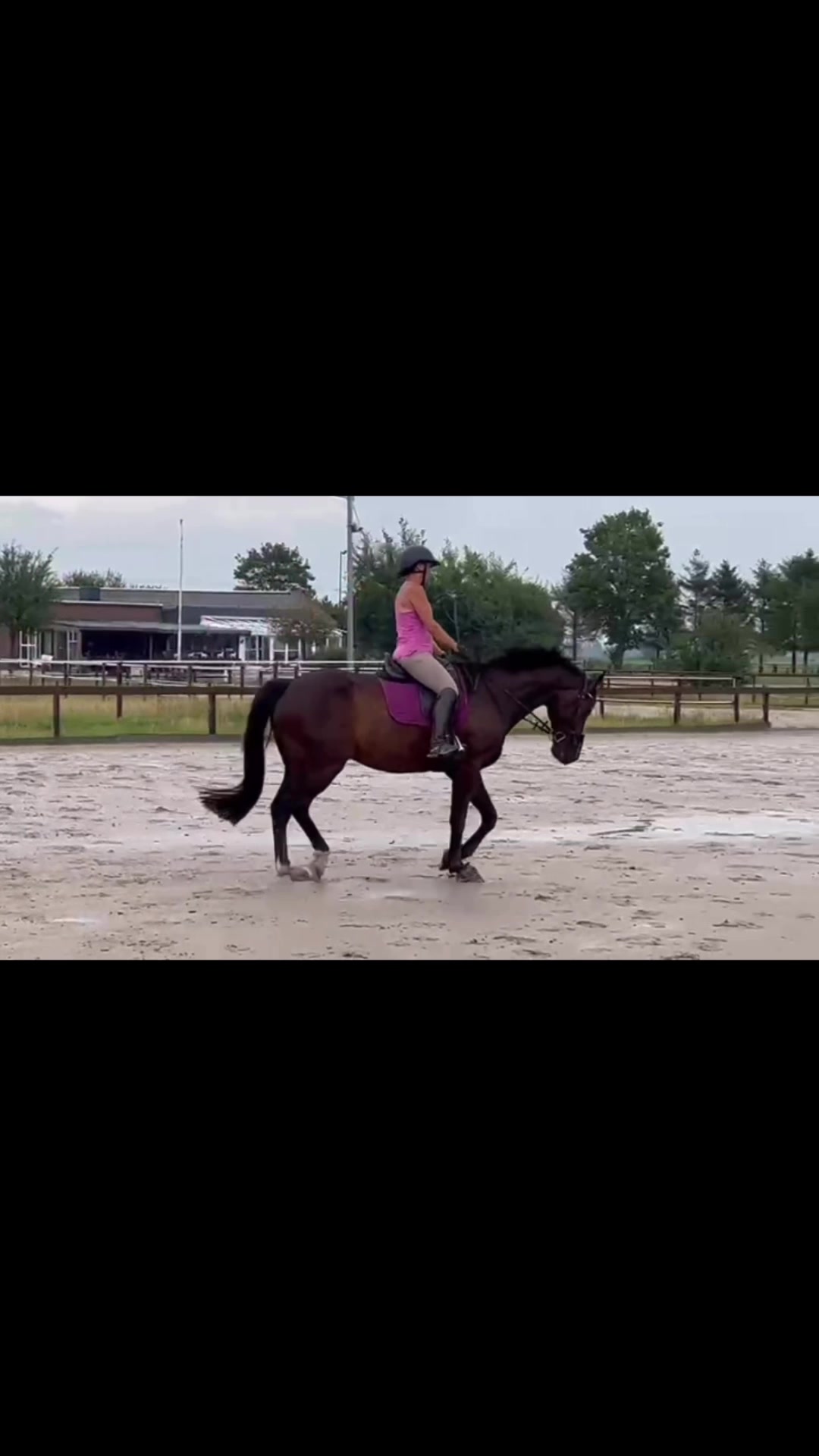 @Equestelli