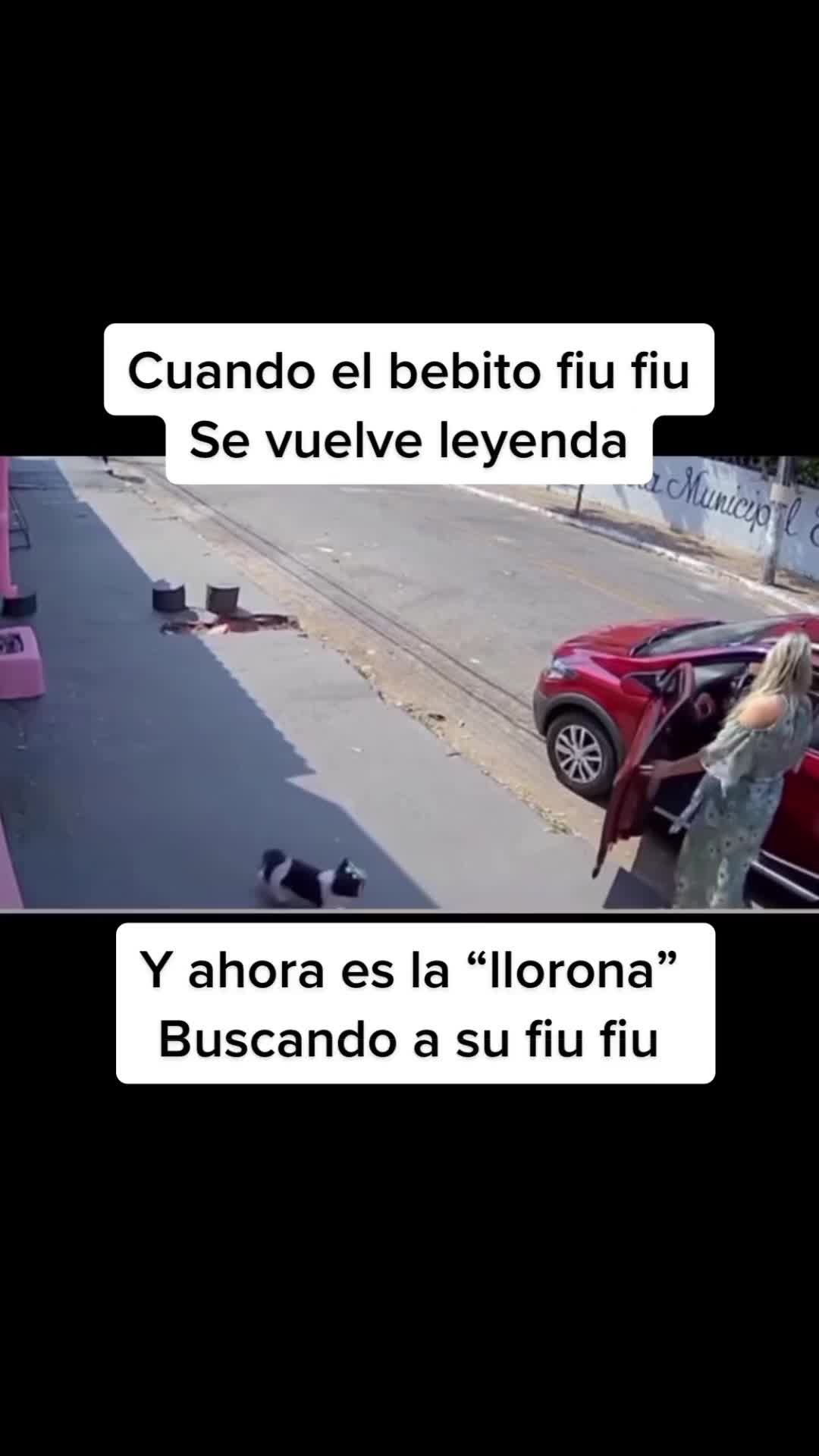 @BONNIE QUINTERO