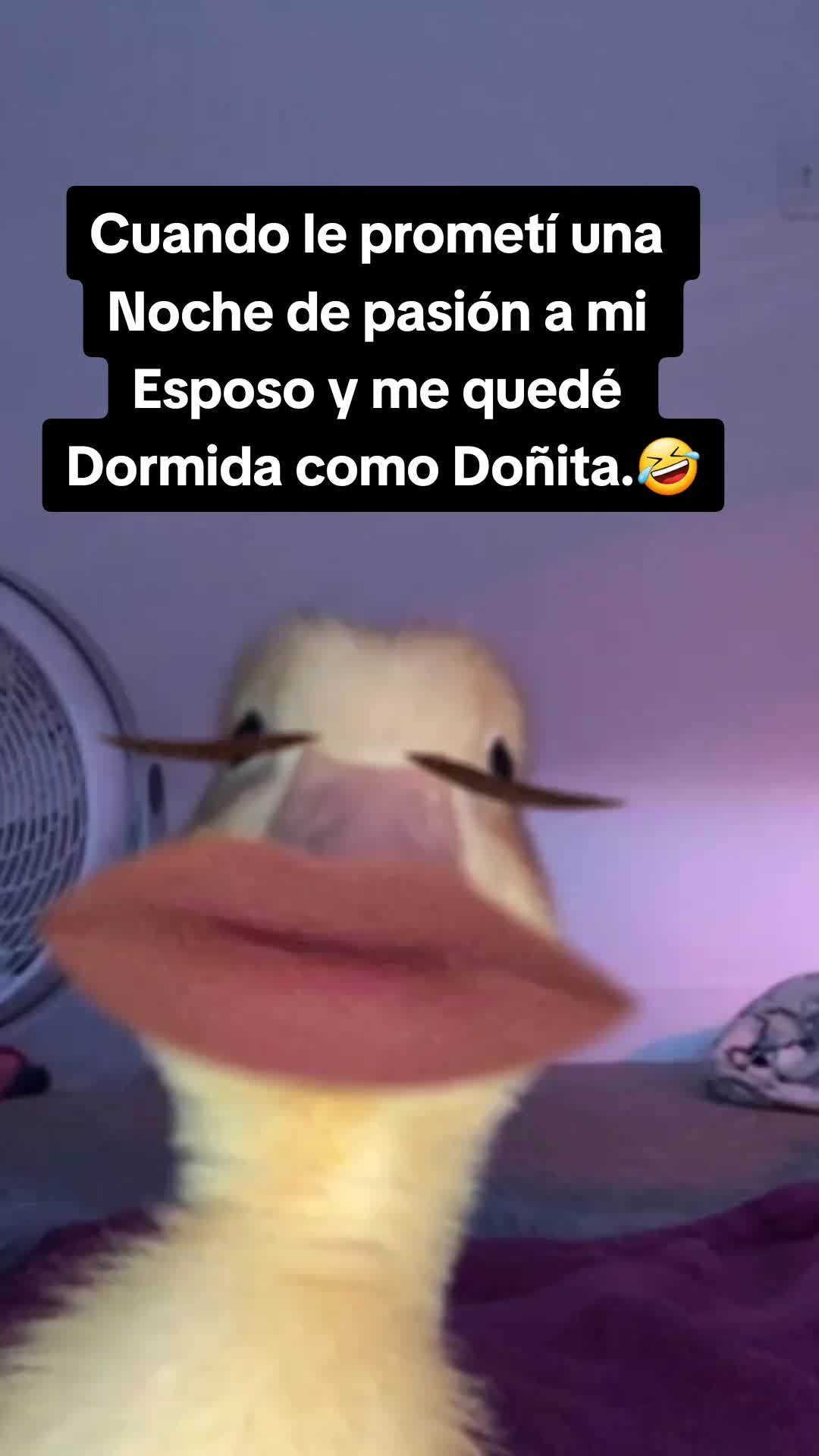 @MallelyVega