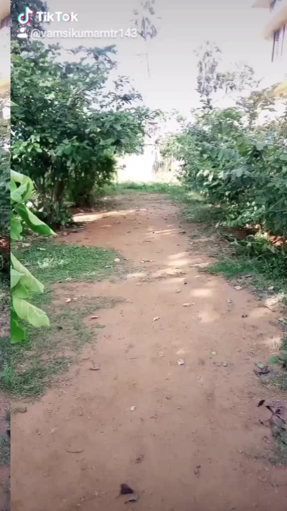@vamsikumarntr143