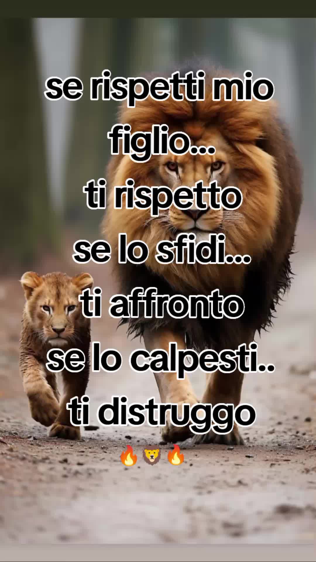 @Giusy Sciacca