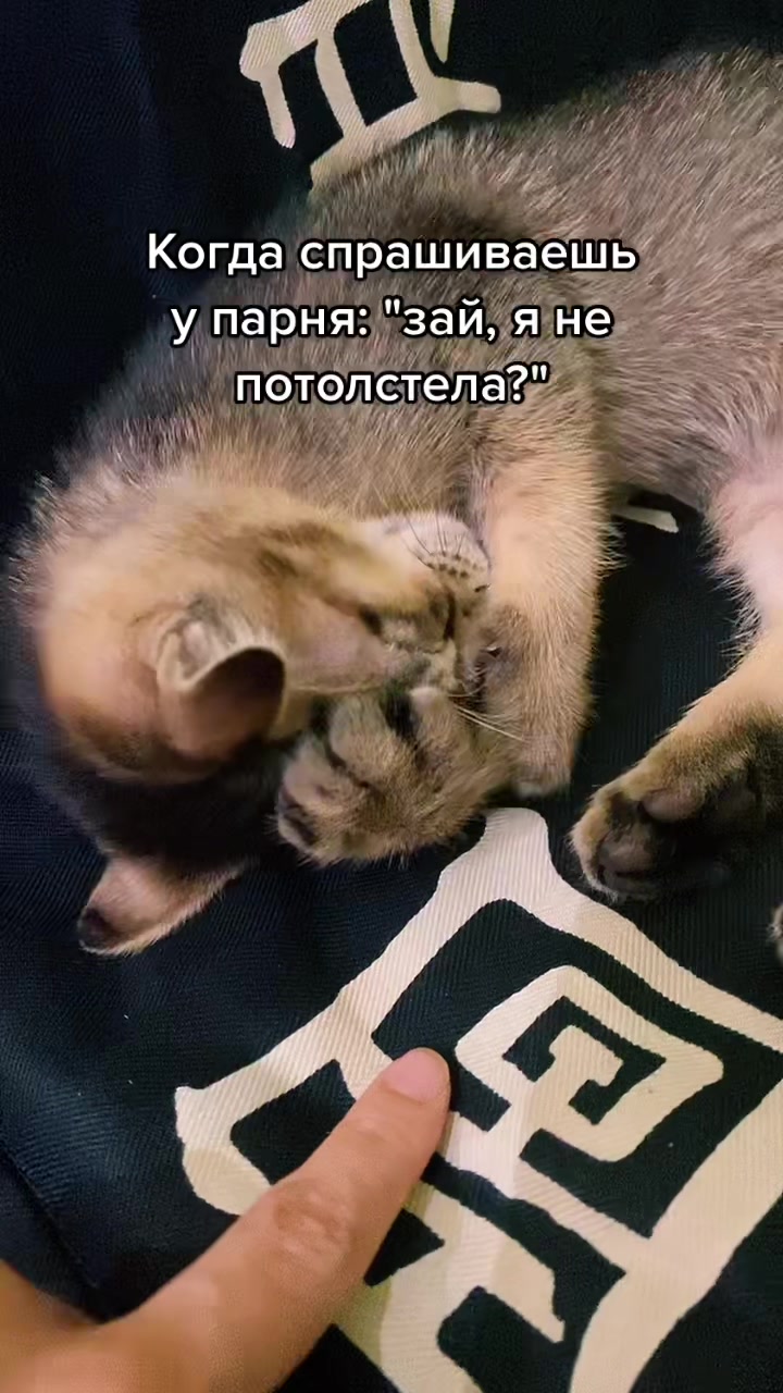 @Стильная метиска в лифе 60GG