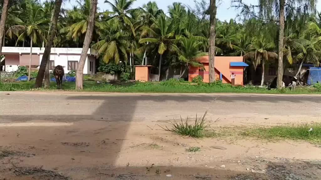 @AadhithiyaSpirLAwz
