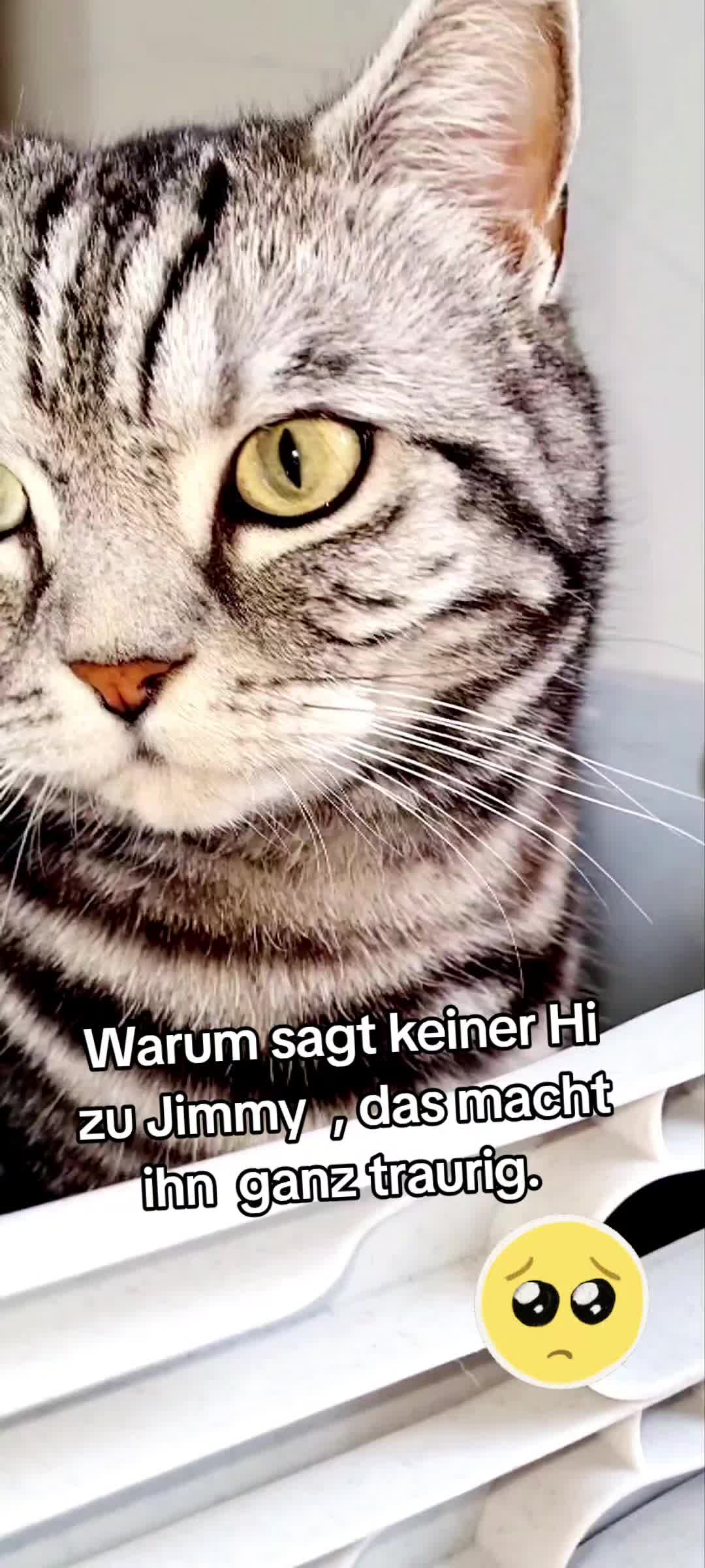 @12Pfoten&die Fellnasenmanager