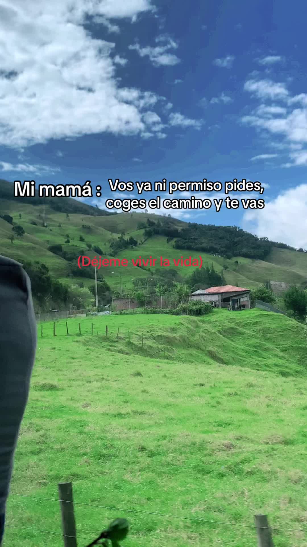 @ALEX