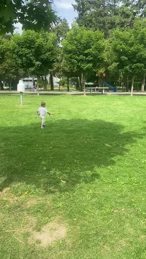 @Rbt