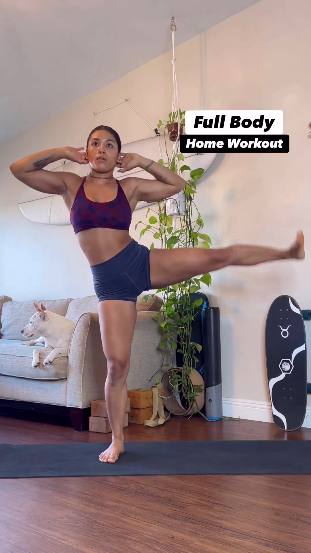 @fitness
