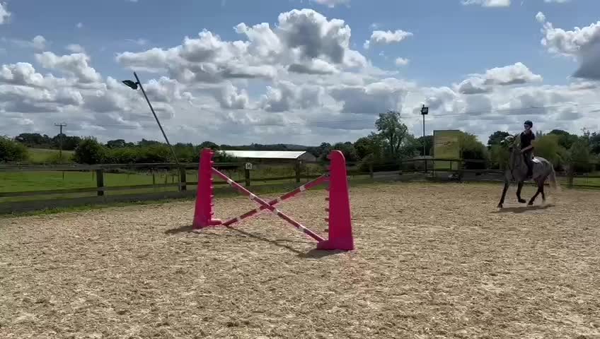 @Ruby🐴