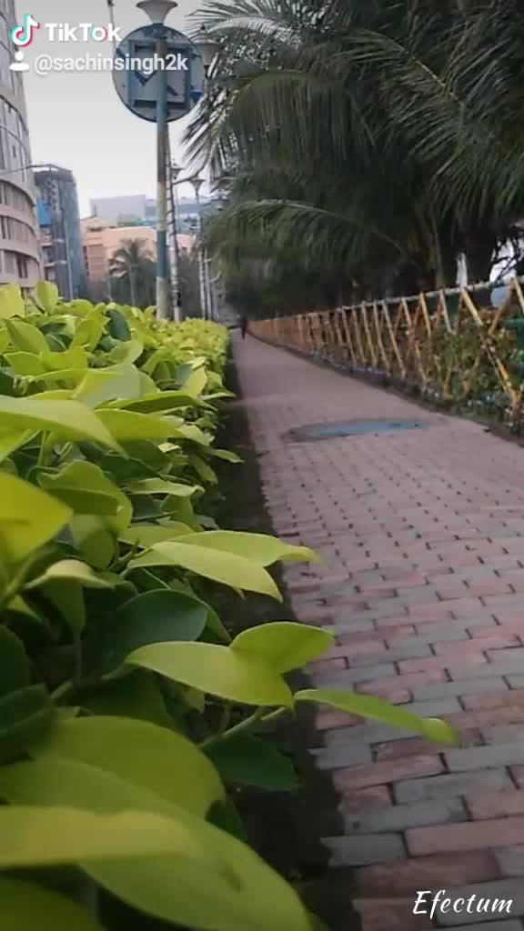 @🙏🙏kolkata09🙏