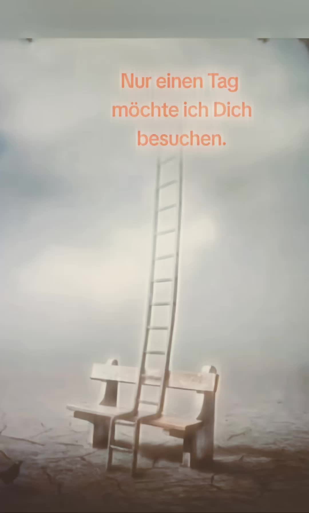 @🫧ᔕᗩᔕᑕᕼᗩ🫧