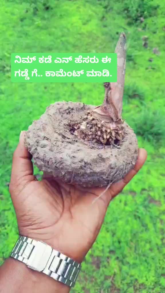 @ಮುದ್ದುರಾಜ್ ಗೌಡ