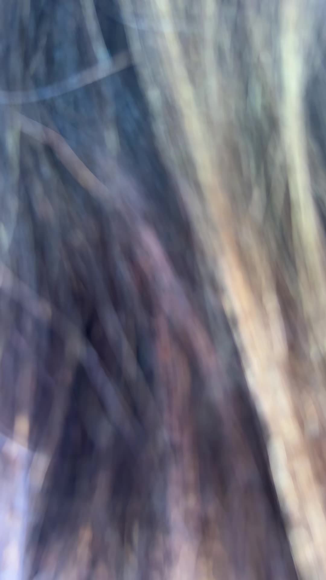 @Simonacorigliano11