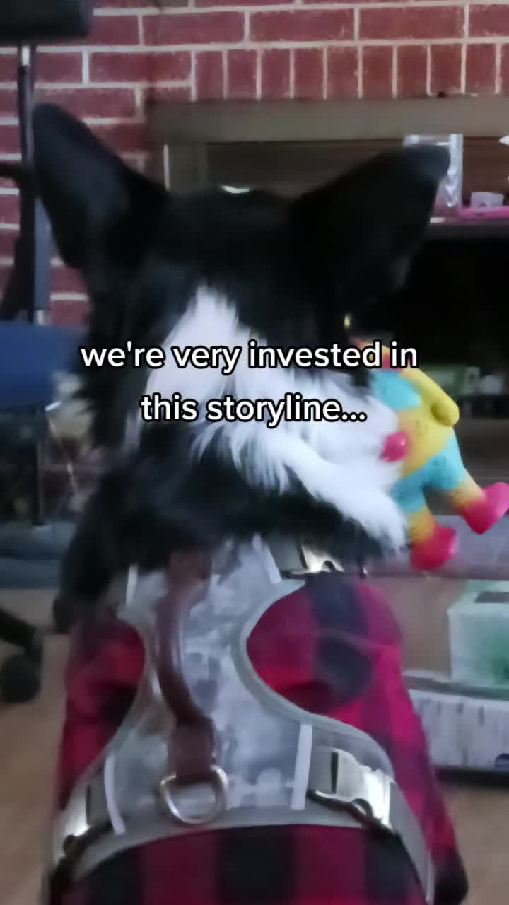 @Lux the Dog at KPPPRadio