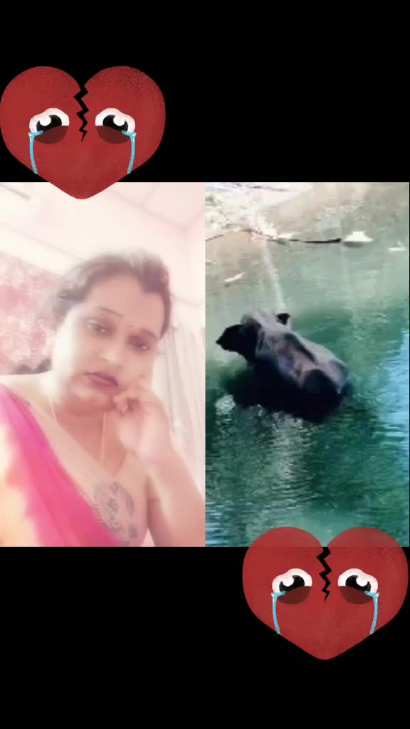 @Banumathi Kalupukuri