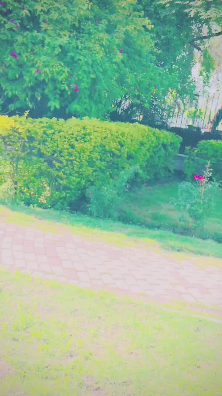 @مــلــنــگـــــّ🥂🎭