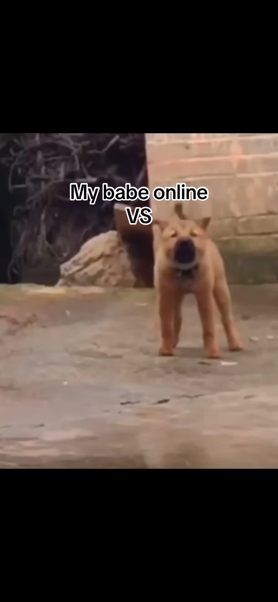 @GREEDY_BIGGIE💰🤪