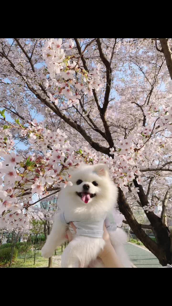 @권하리