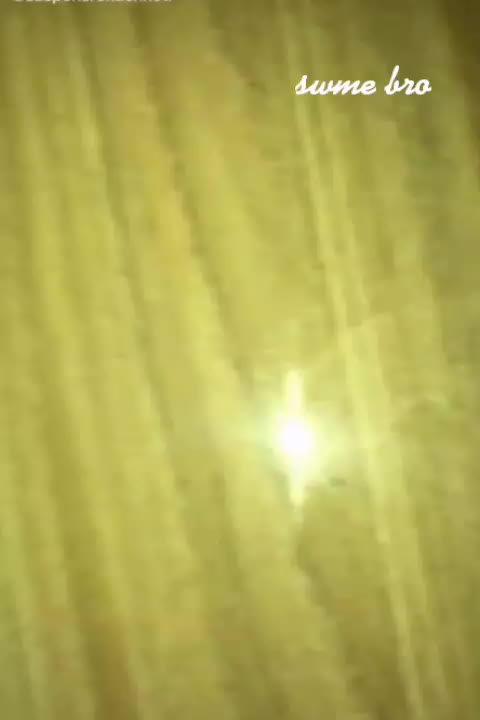 @ꜱʀᴠ〆ᴛɪɢᴇʀ