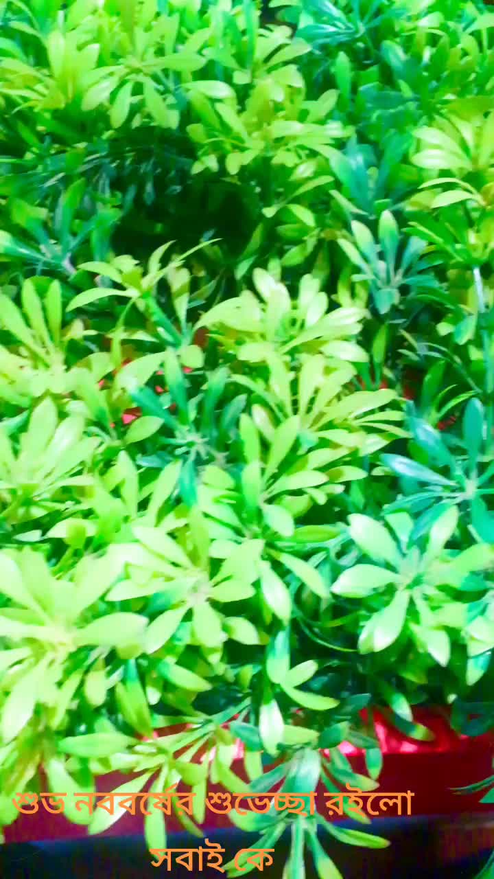 @ফয়জুল ইসলাম পাপন