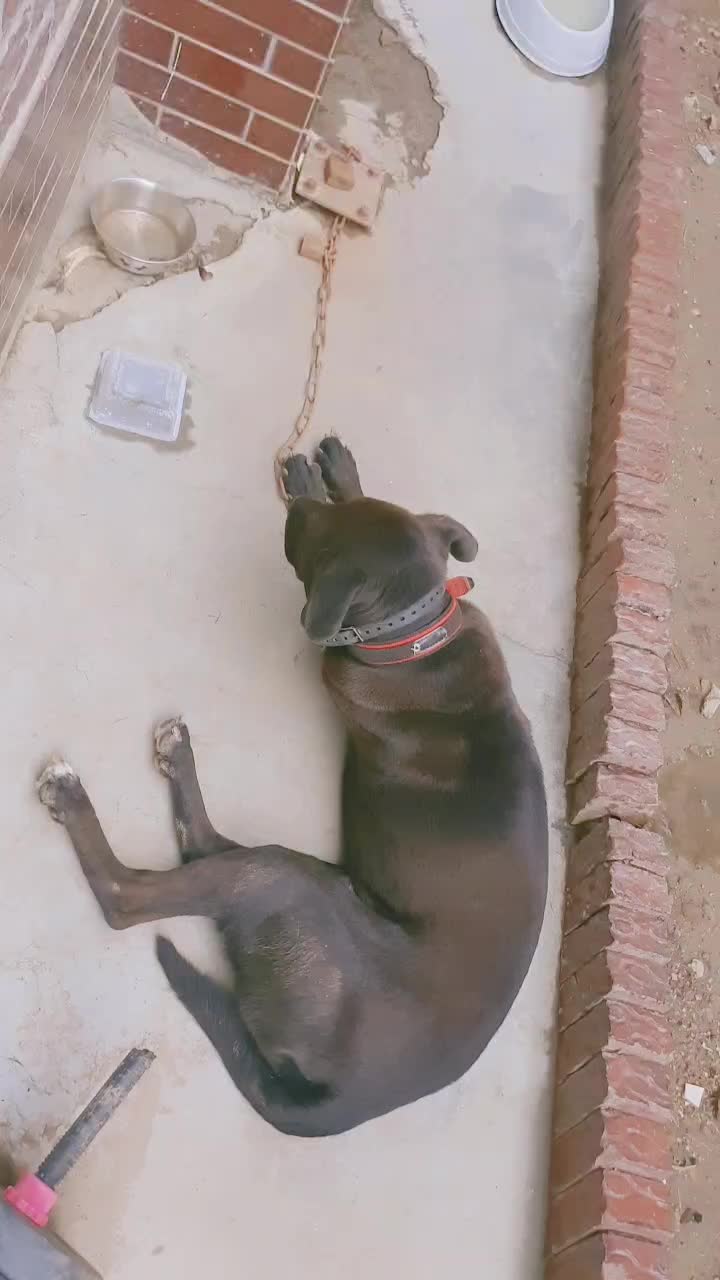 @쿸히