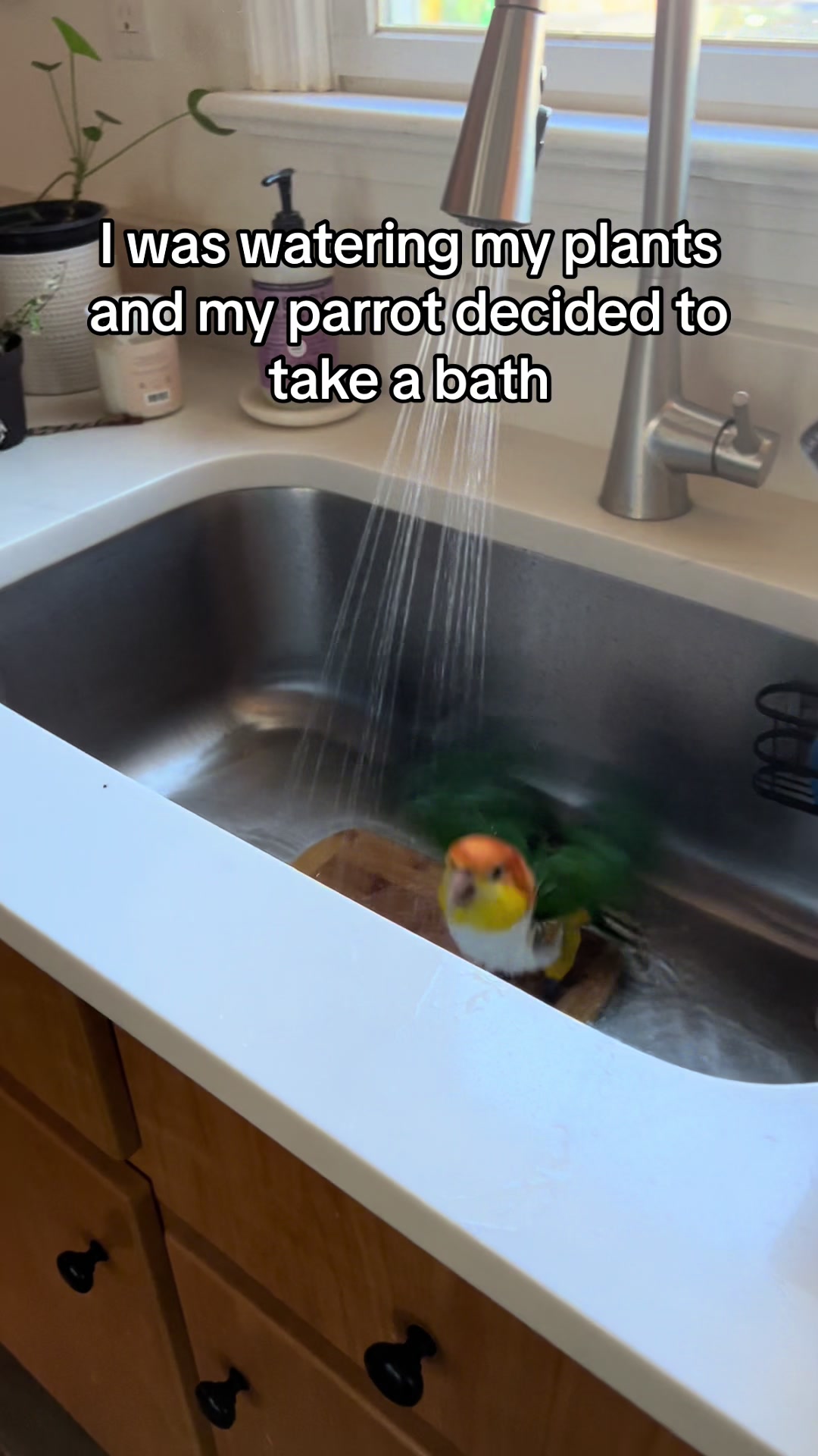 @goober_and_the_mouse