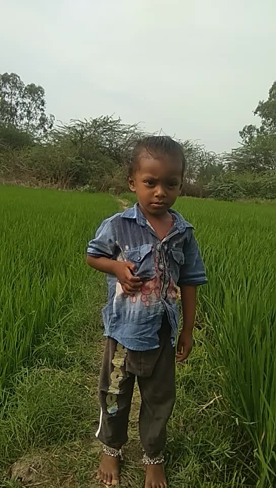 @Ambalavanan