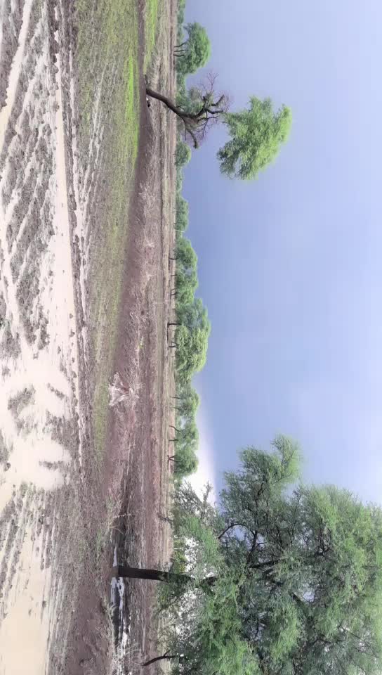 @Mannu Kaushik