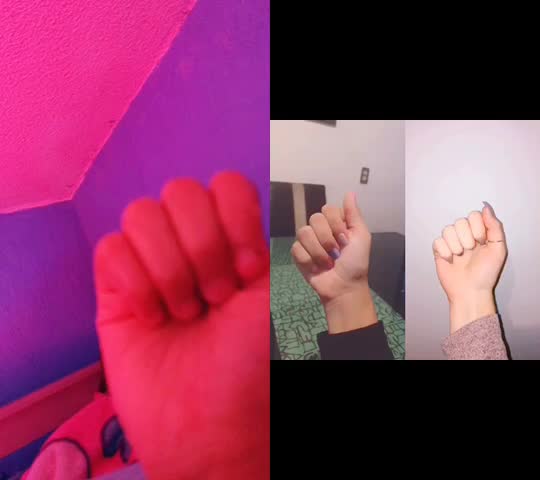 @gissel Guadalupe Briseño piedra