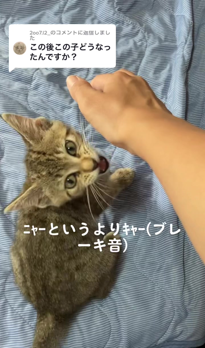 @ひー