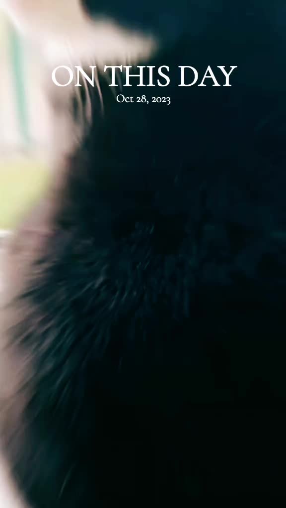 @🦋 April'Monique 🦋