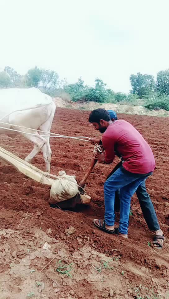 @Ningu kattimani