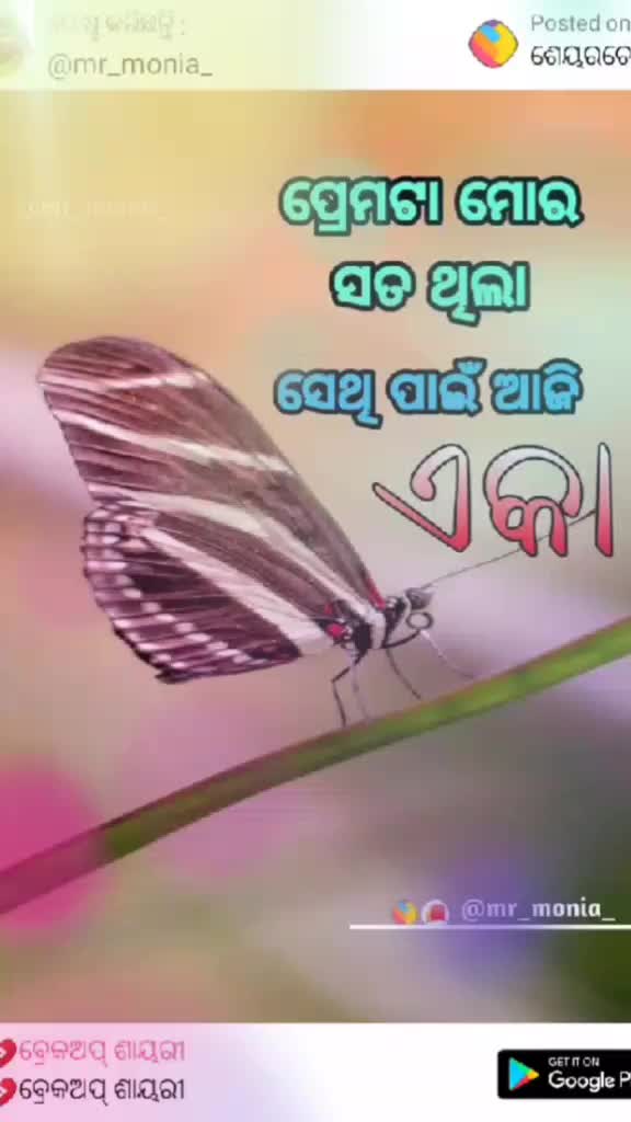 @user9908604298035