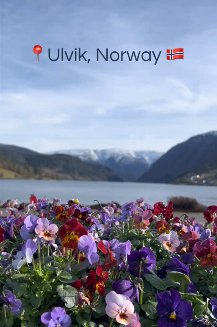 @Tiktok_with_linda