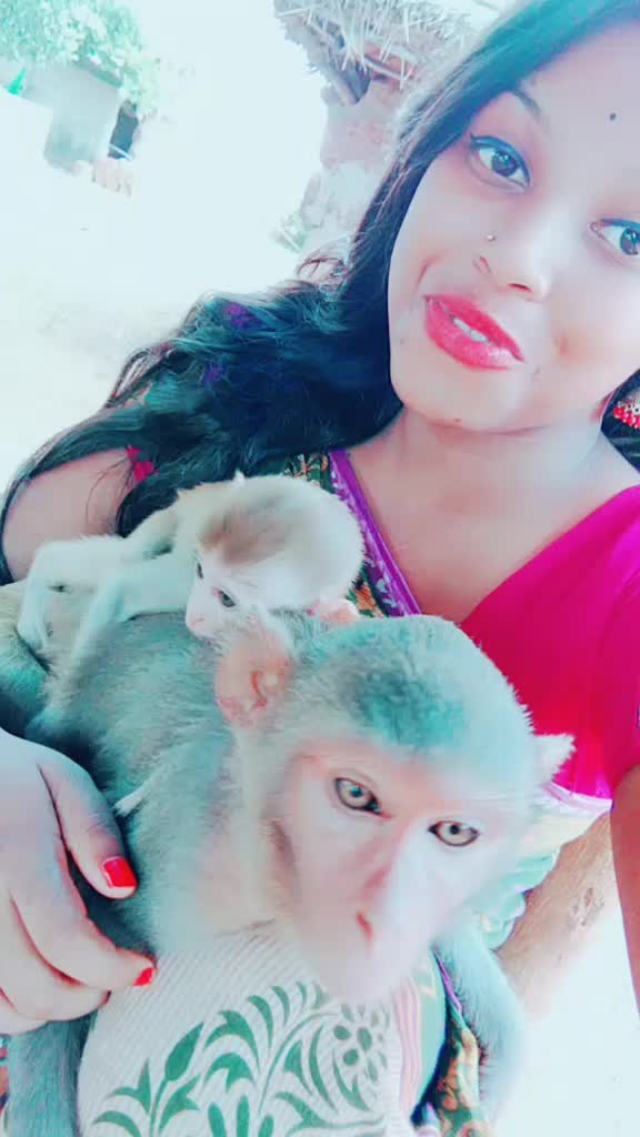 @😍animal lover😍