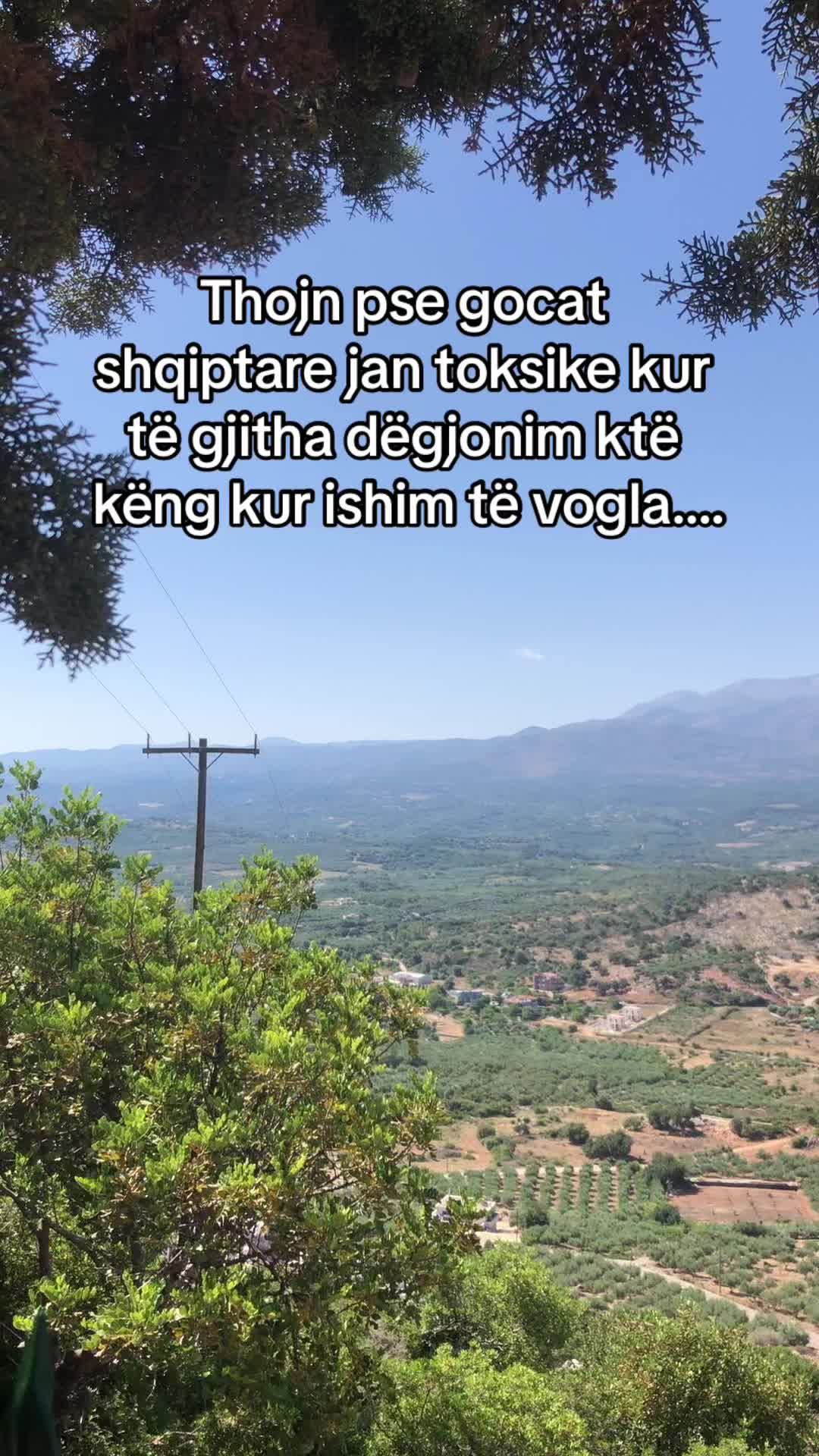 @Megi