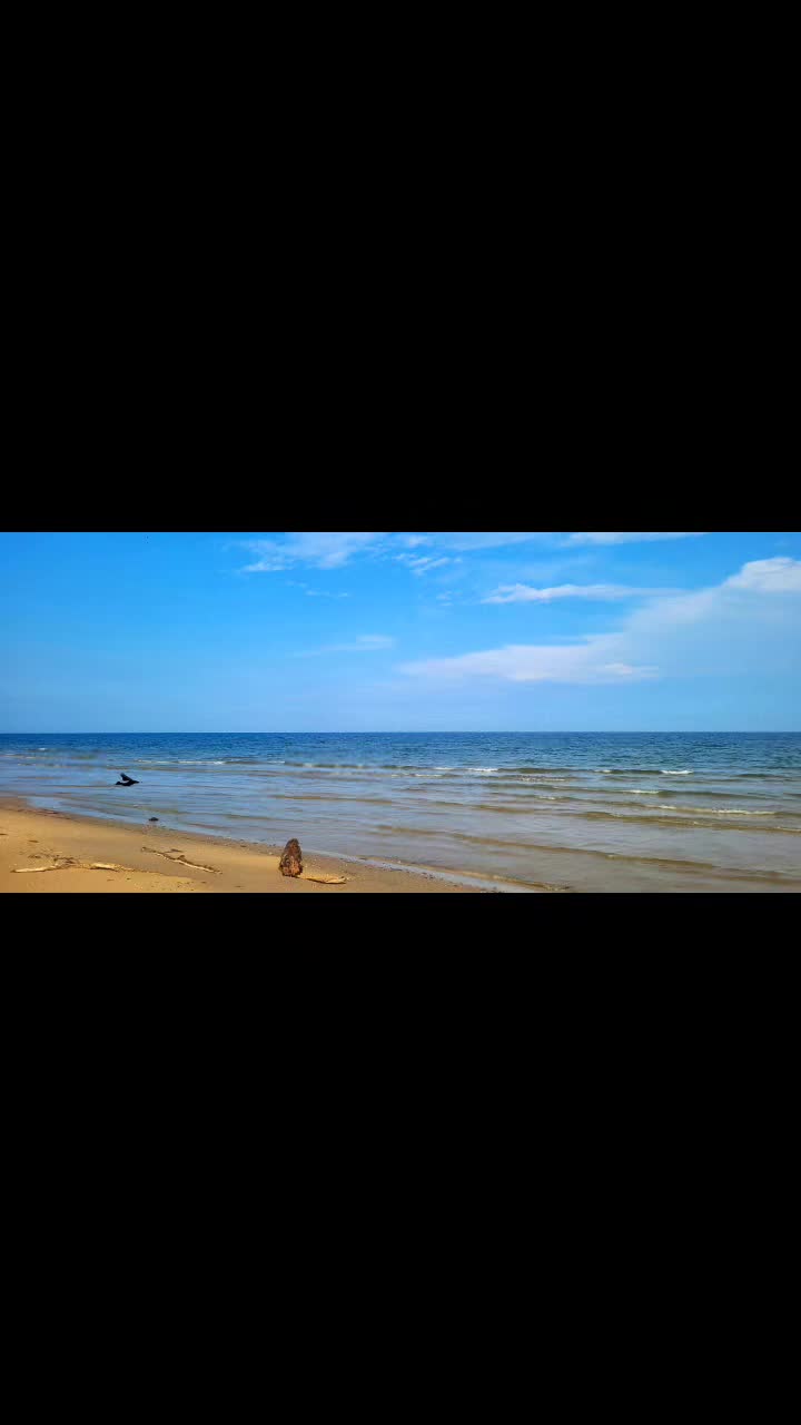 @Gracie Cintr&oacute;n
