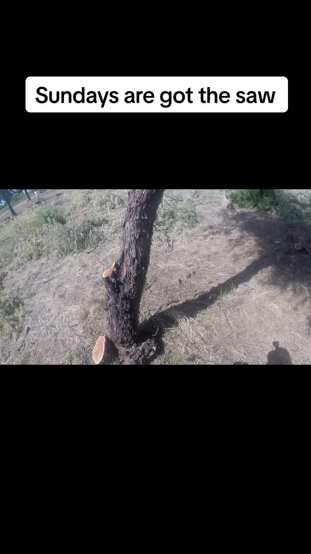 @Redneckfirewelder