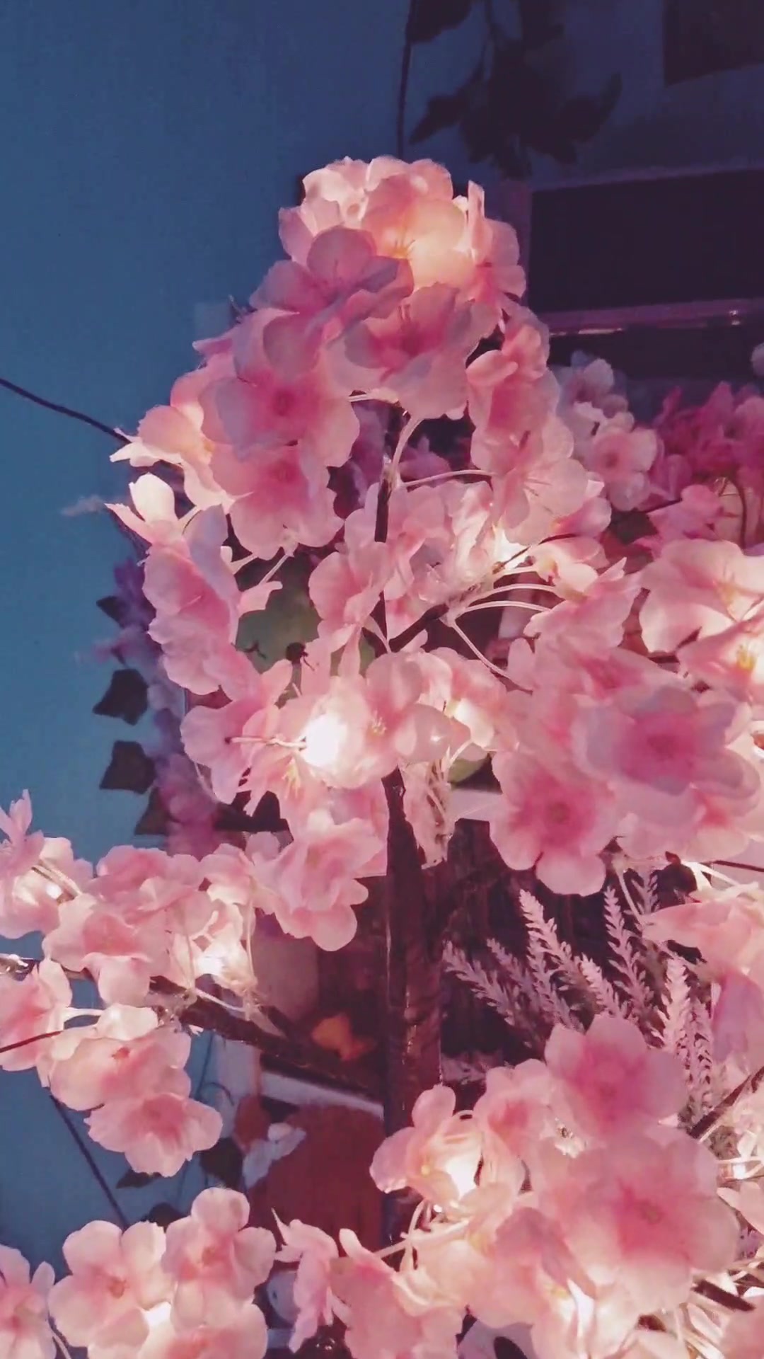 @🌸🪻Willow🪻🌸