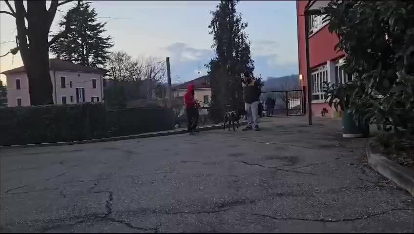 @Micol dogsitter varese