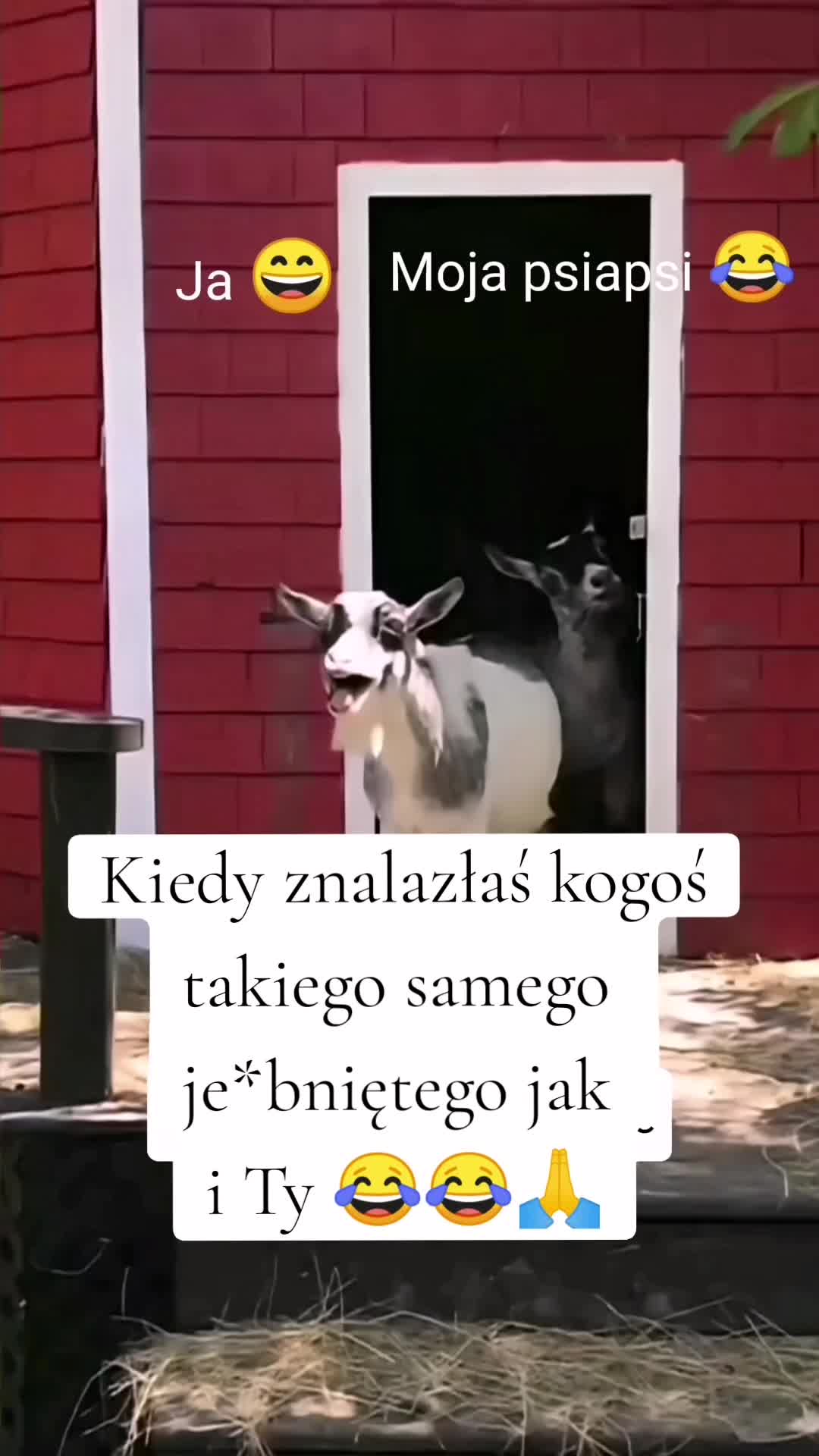 @MamaMia 🌺⚡️🫡