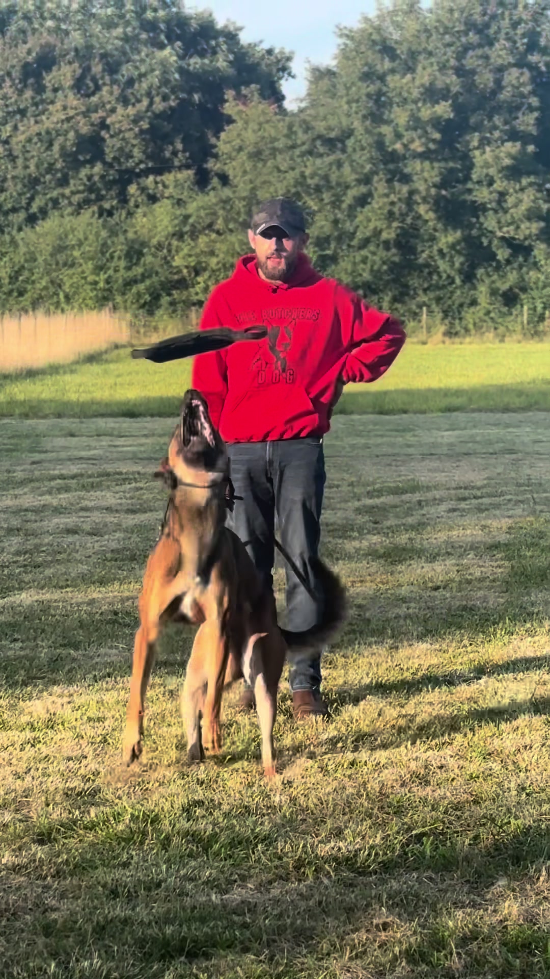 @Sirius K9