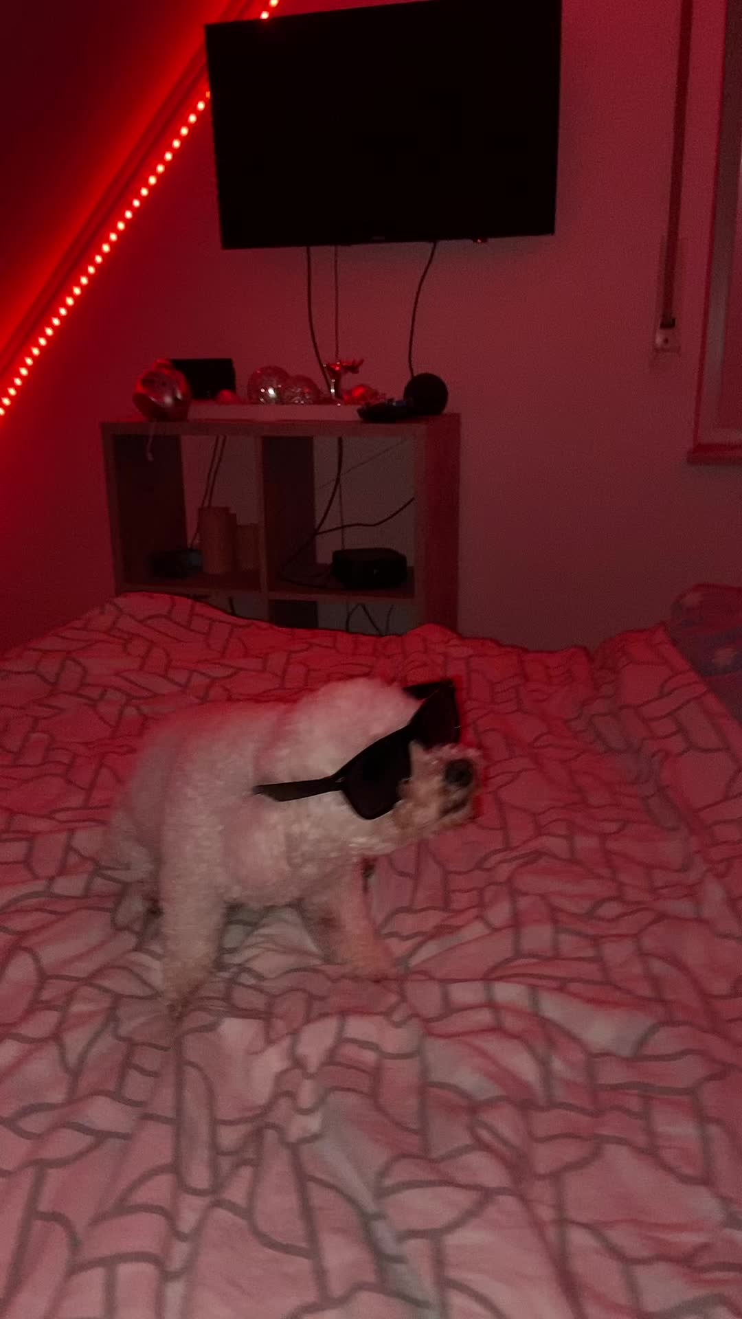 @❥𝒩𝒾𝓃𝒶ꨄ&rsquo;
