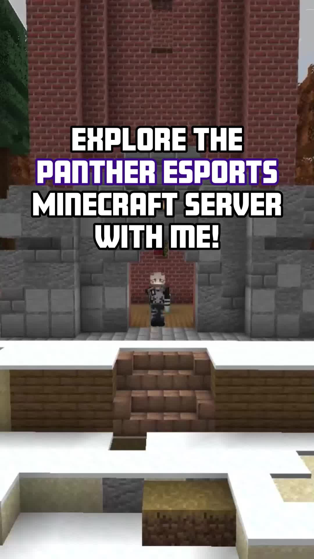 @Panther Esports