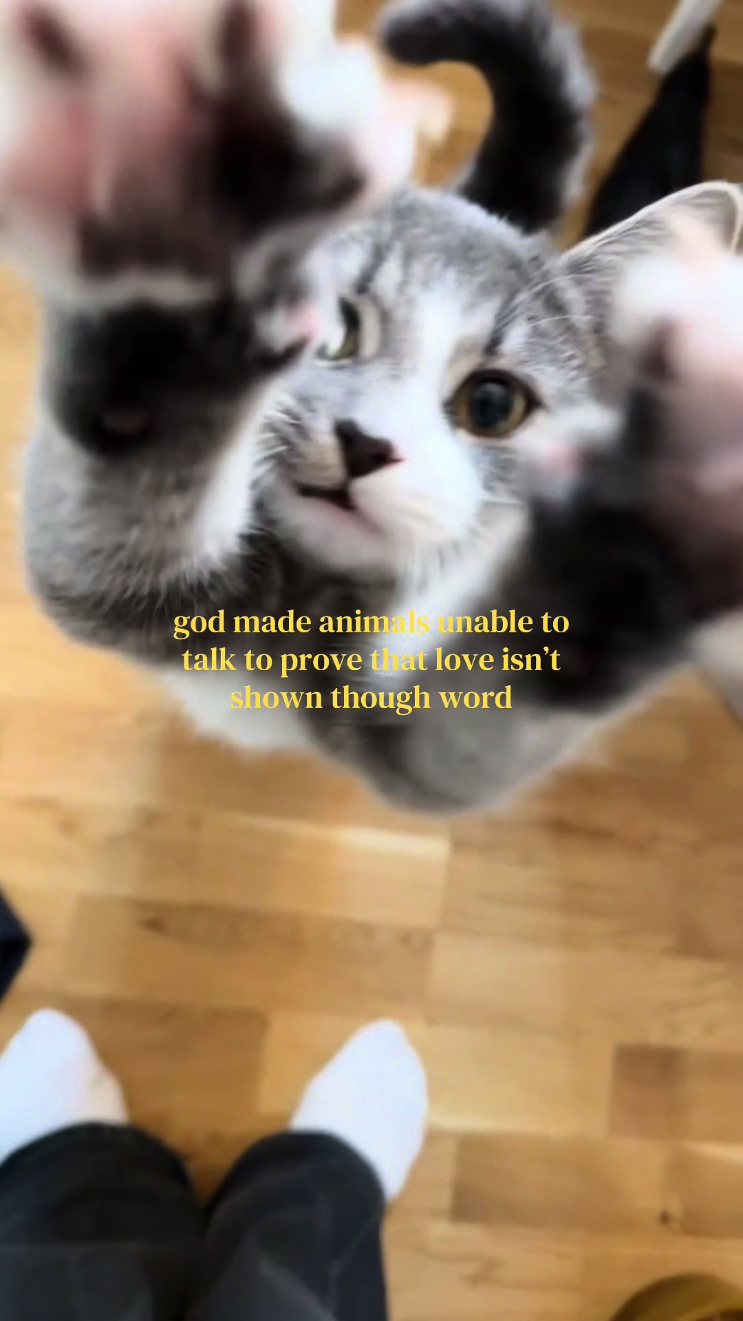 @Ebba ๐