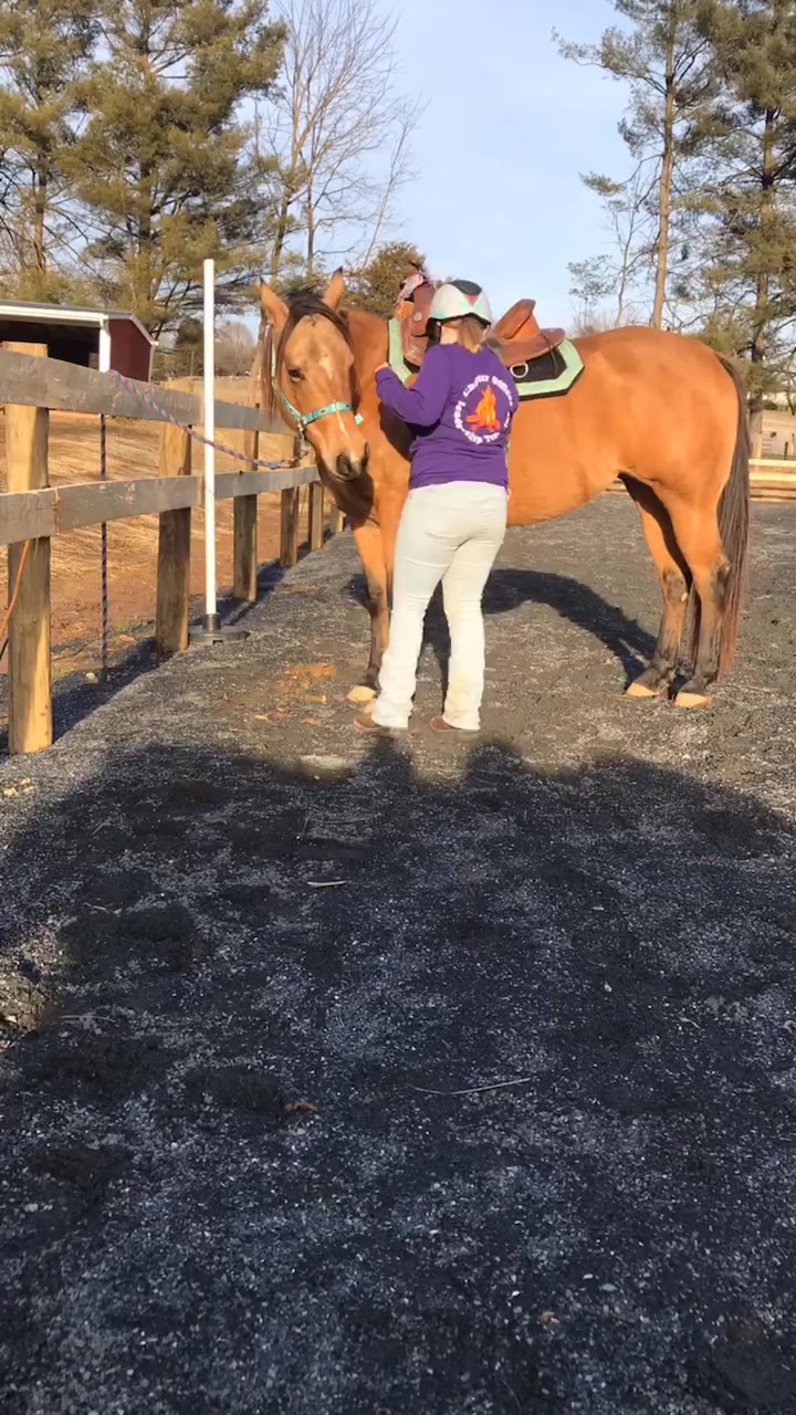 @Equine.blessings