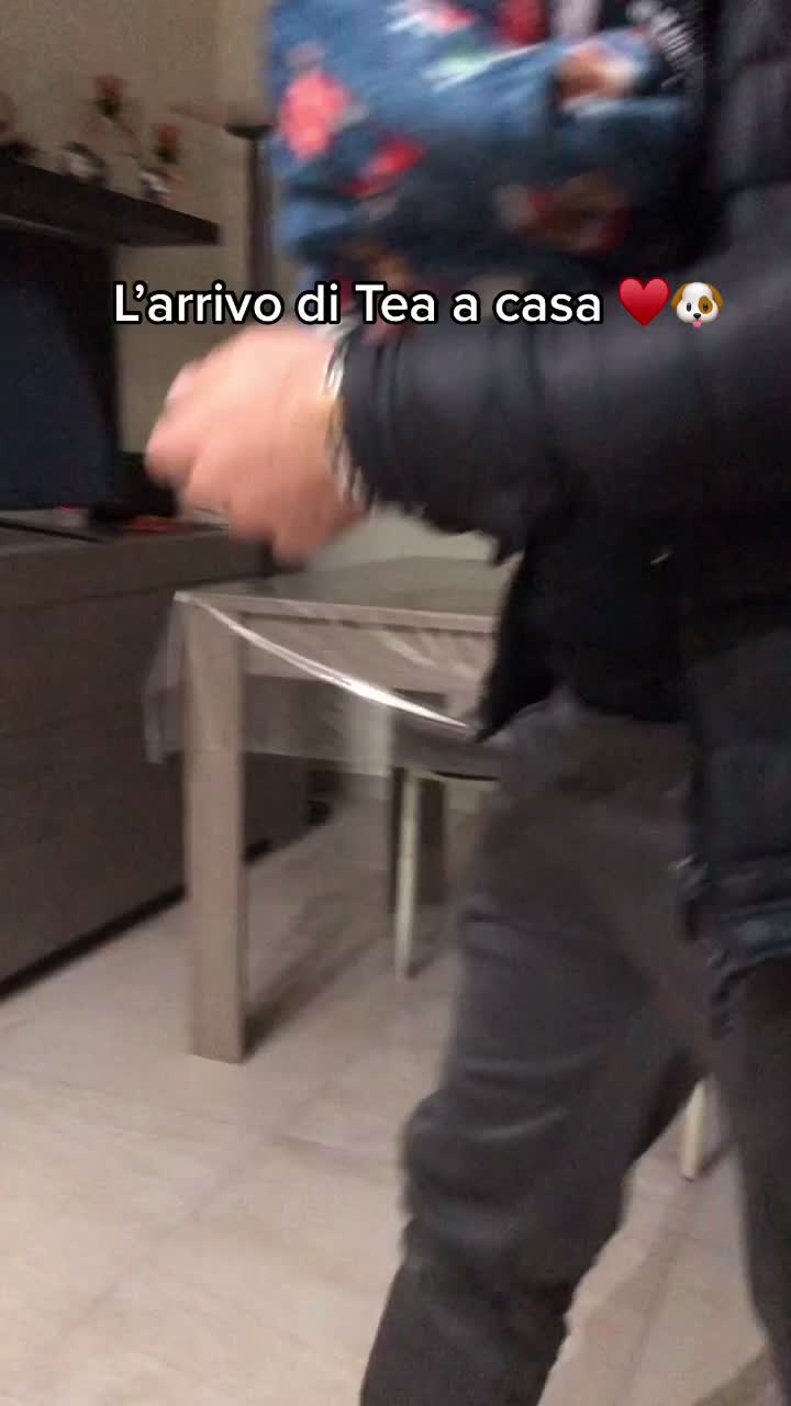 @doriana.licciardo